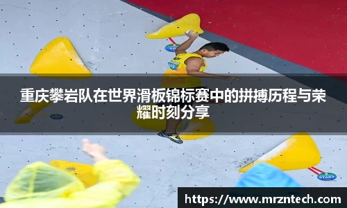 凤凰联盟平台